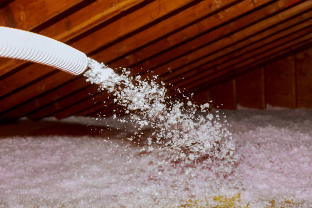 Best Insulation Contractors for Homes  in Crooks, SD